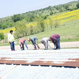 This field does not exist